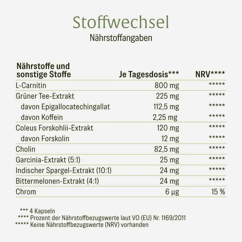 Sommerleicht Sparpaket: Stoffwechsel & Wasserbalance