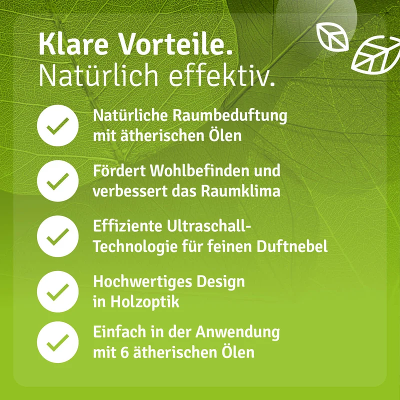 Holzoptik Diffuser mit 6 Ölen - B2B