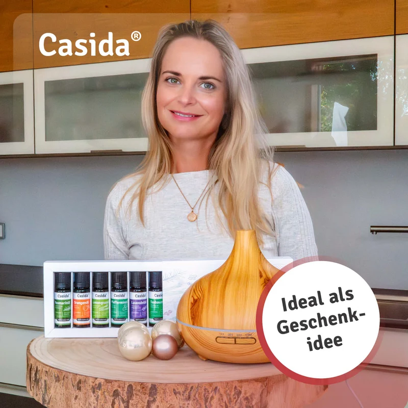 Holzoptik Diffuser mit 6 Ölen - B2B