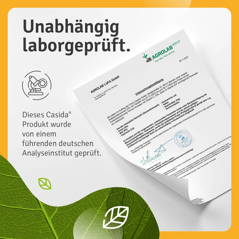 Immun Komplex mit Vitamin C, Zink, Selen und Vitamin D3