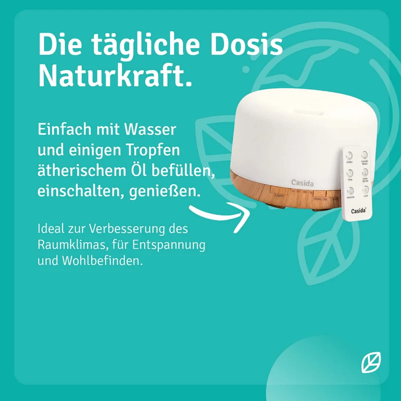 Premium Diffuser mit 6 ätherischen Ölen