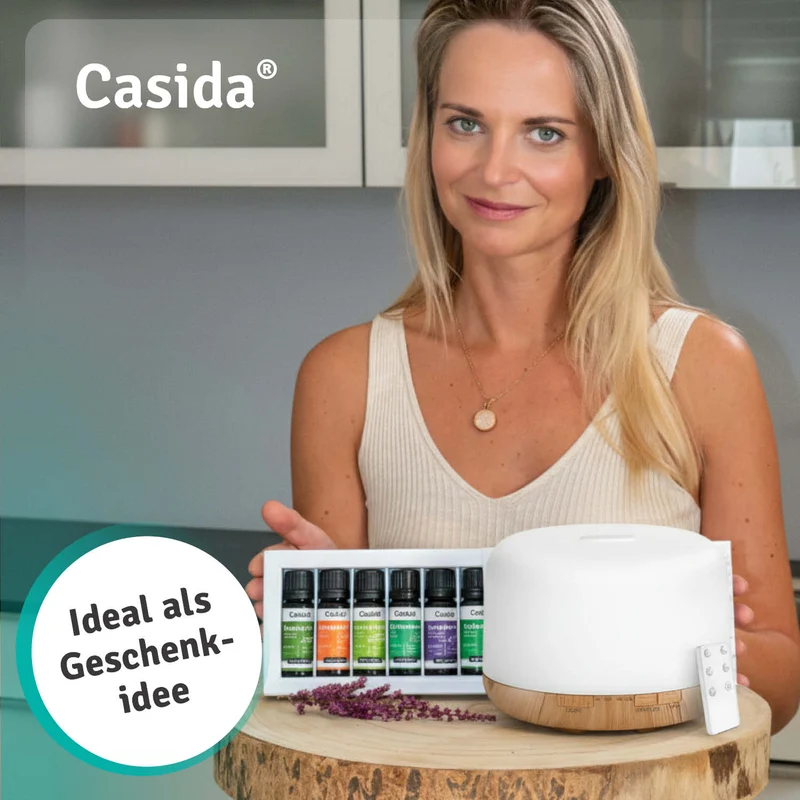 Premium Diffuser mit 6 ätherischen Ölen
