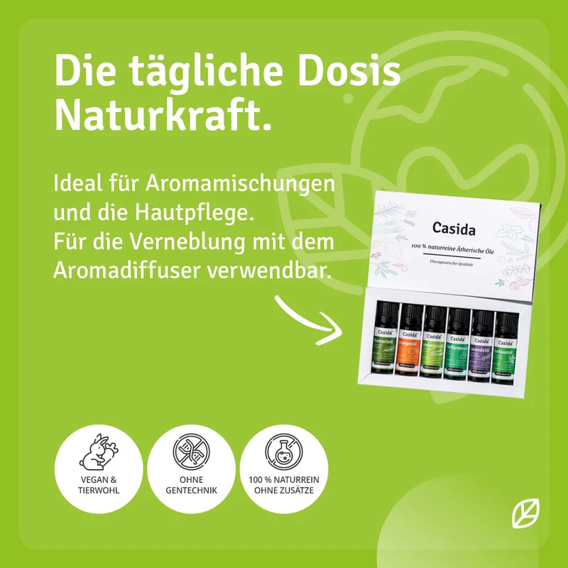 Premium Diffuser mit 6 ätherischen Ölen