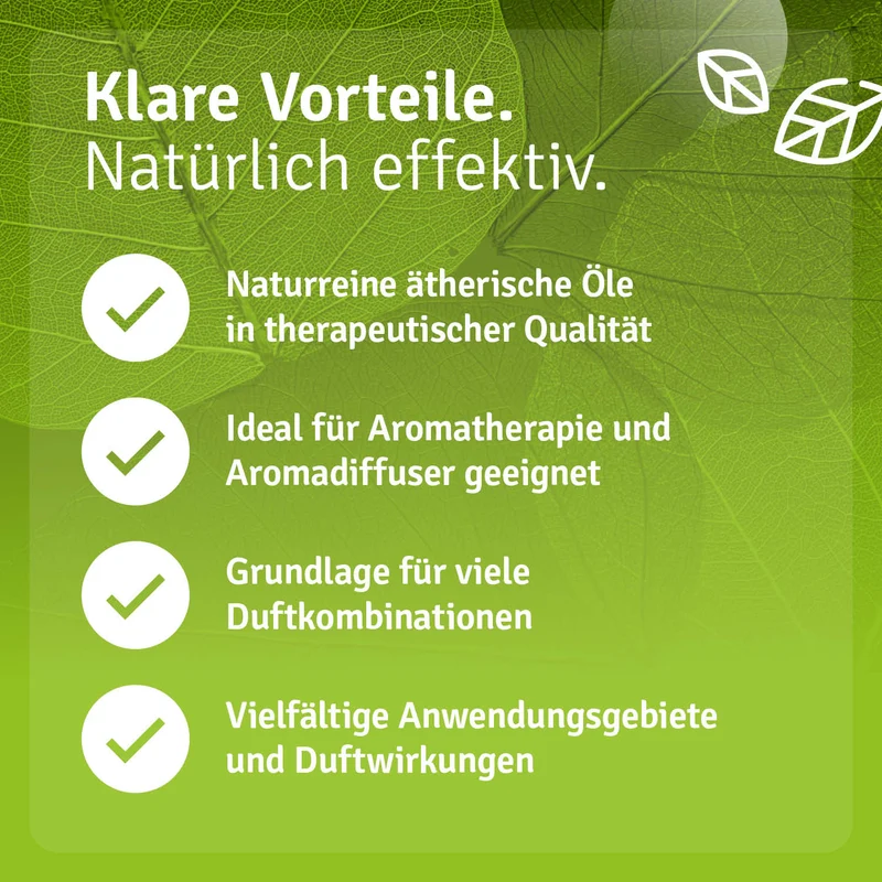Premium Diffuser mit 6 ätherischen Ölen