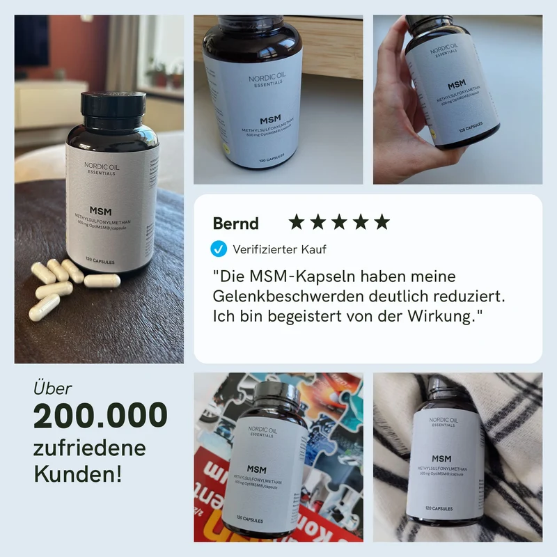 MSM Kapseln