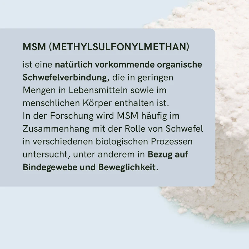 MSM Kapseln