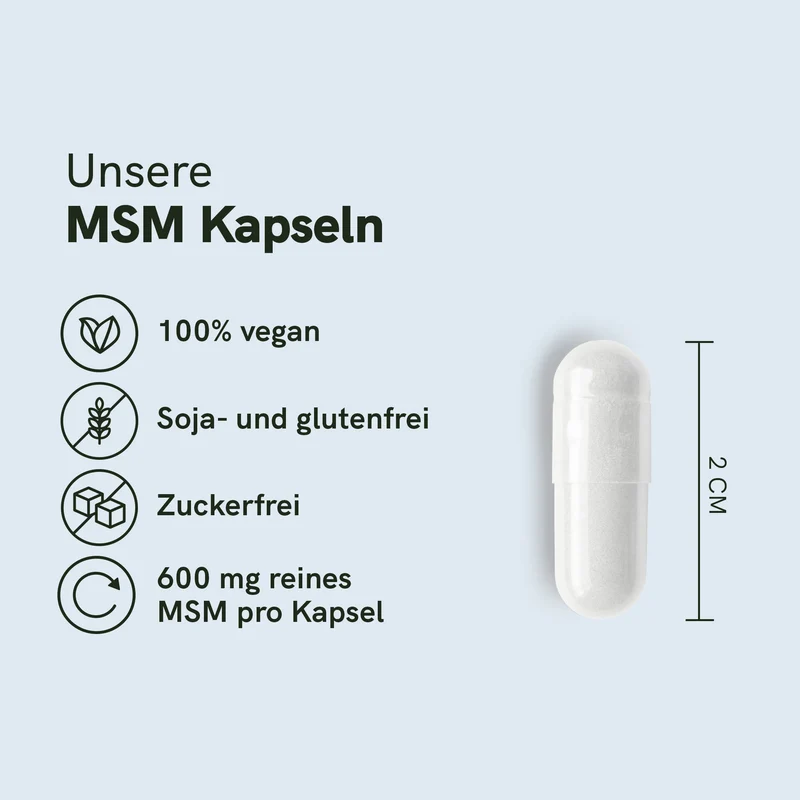 MSM Kapseln