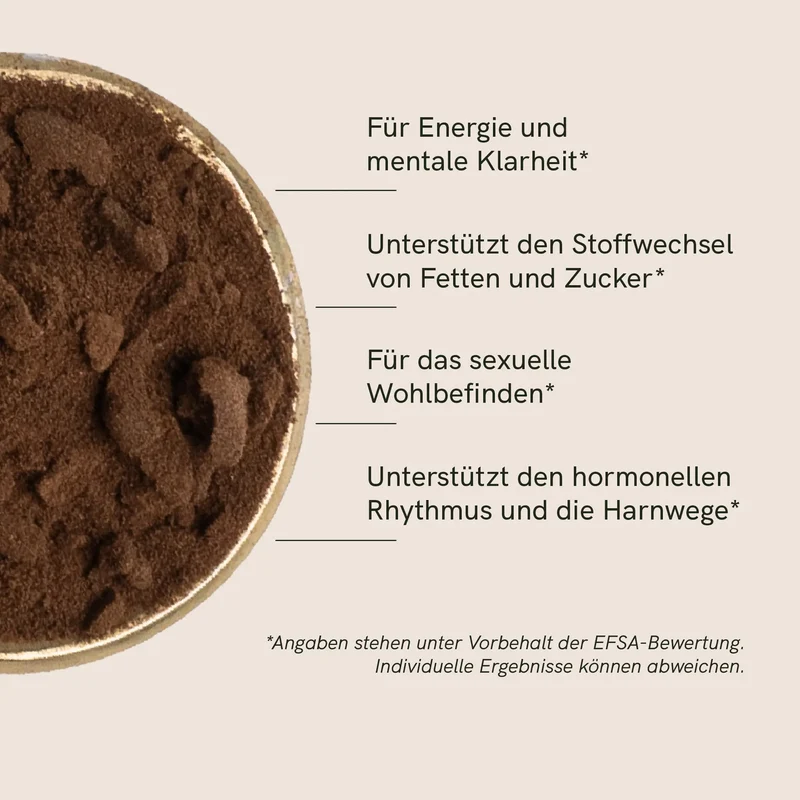 Shilajit Kapseln