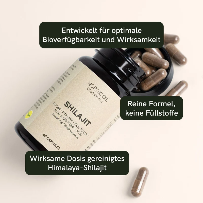 Shilajit Kapseln