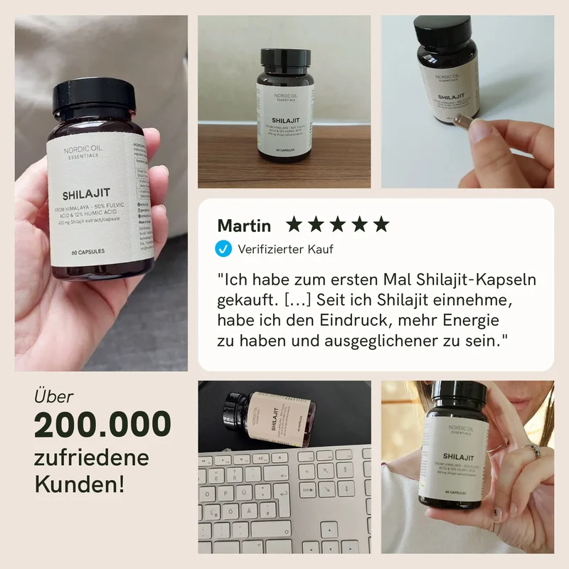 Shilajit Kapseln