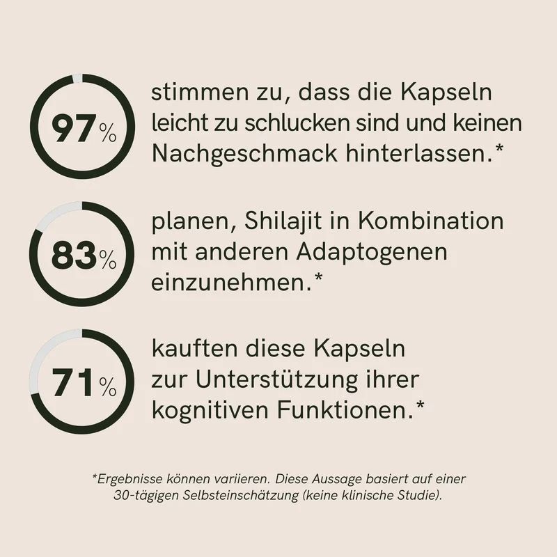 Shilajit Kapseln