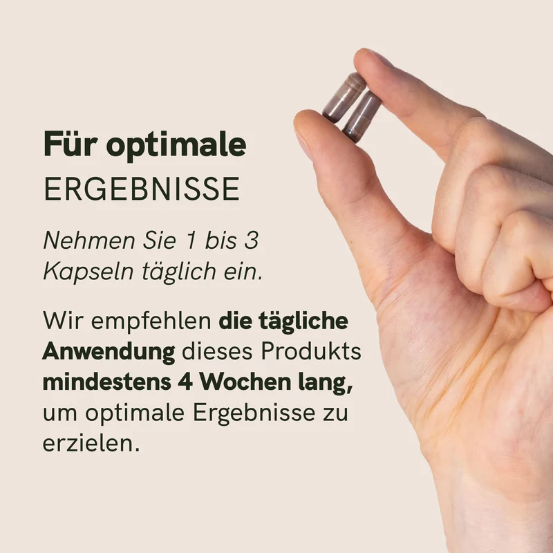 Shilajit Kapseln für SZ Leser