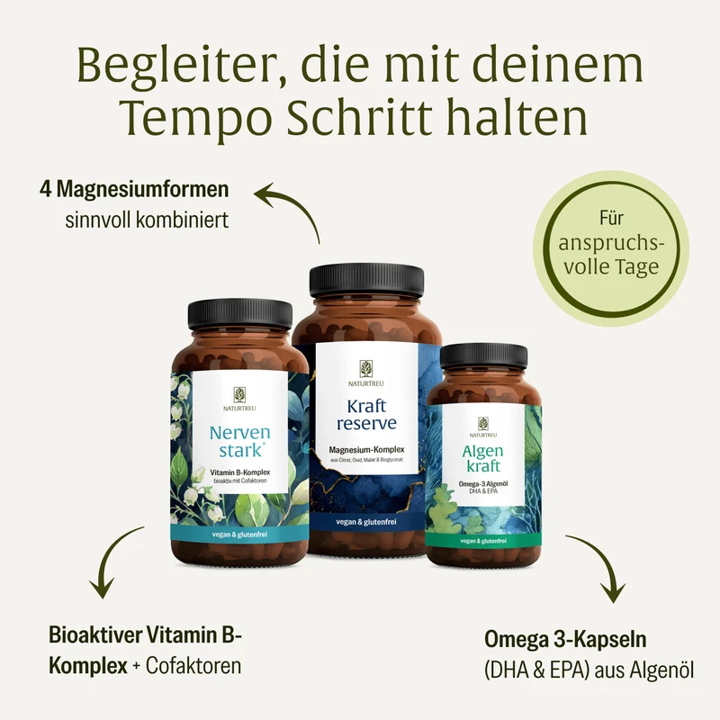 Durchstarter Sparpaket: Nervenstark, Kraftreserve & Algenkraft