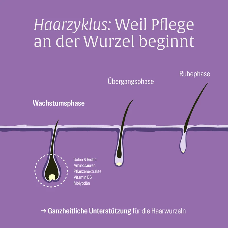 Rapunzelmähne: Haarwurzel-Komplex* mit Hirse, Gerstengras & Rosmarin