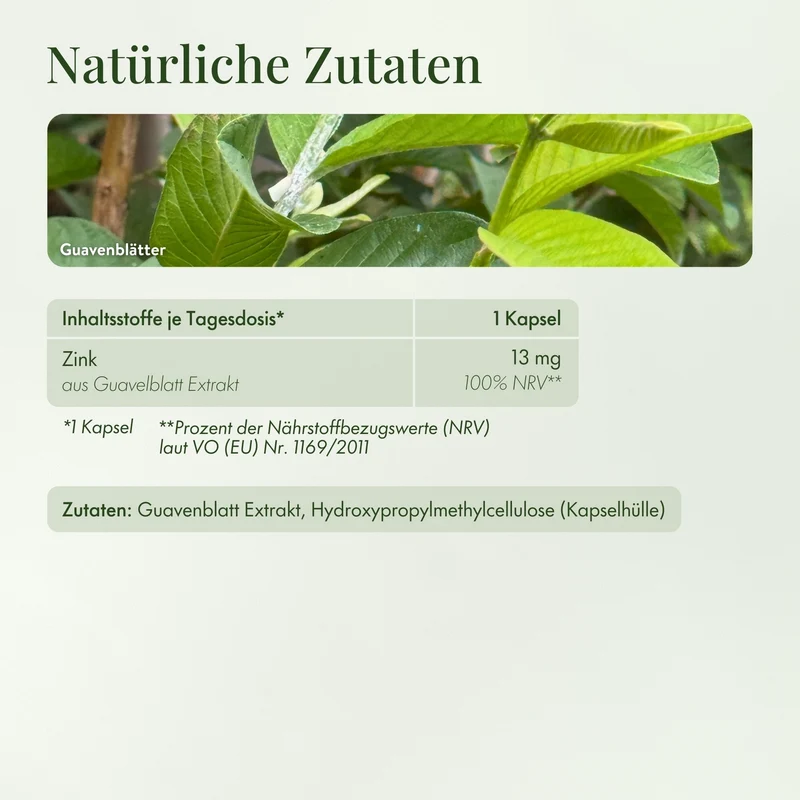 Zink Kapseln