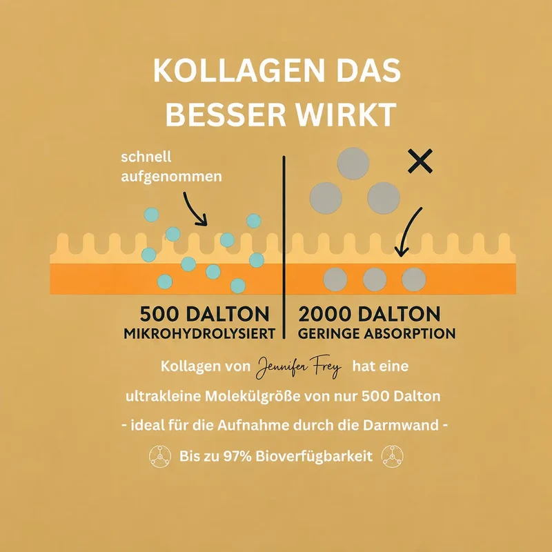 Grass Fed Tripeptide Kollagen kaufen ~ 500 Dalton – CollMeCell Collagen Pulver Typ I & III