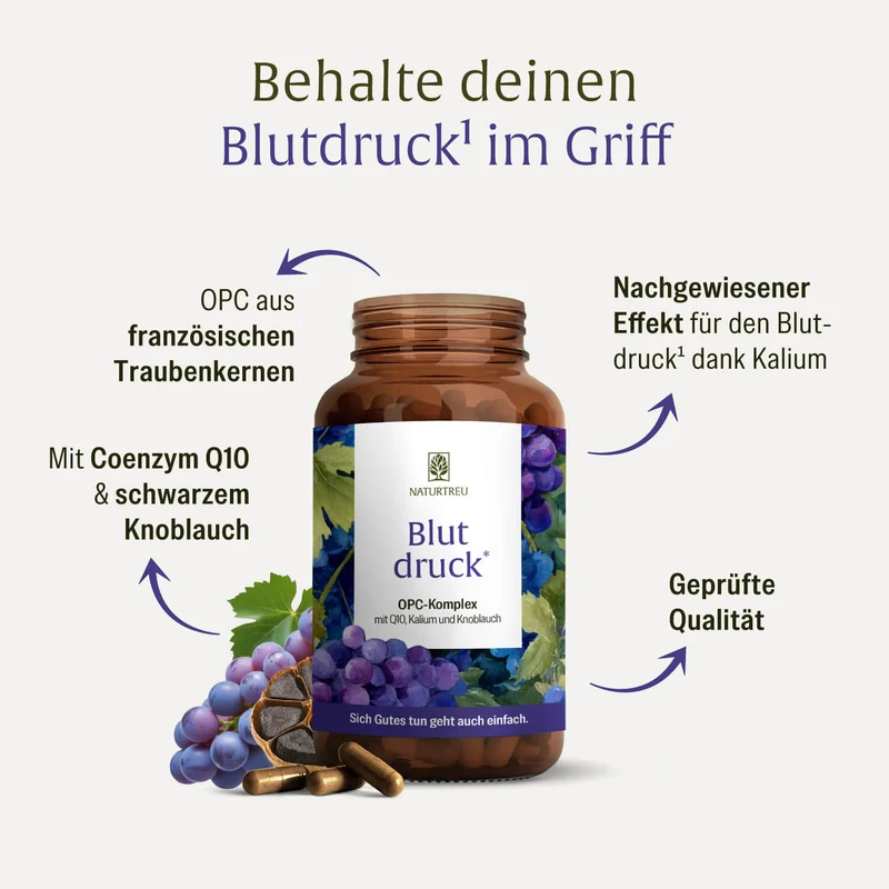 Blutdruck: OPC-Komplex mit Q10, Kalium und Knoblauch