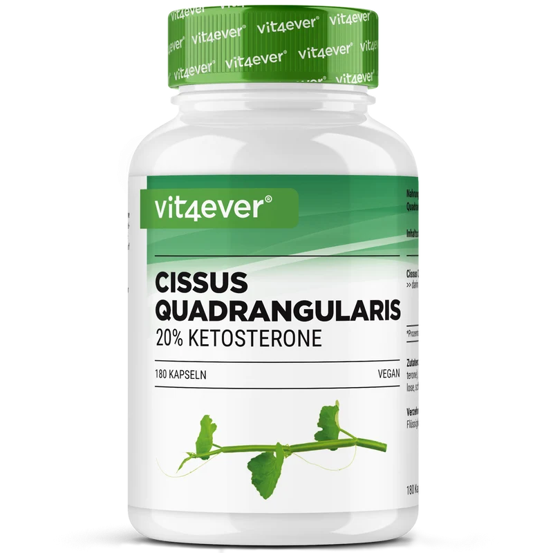 Cissus Quadrangularis