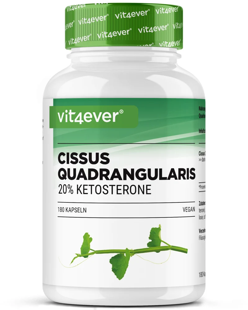 Cissus Quadrangularis