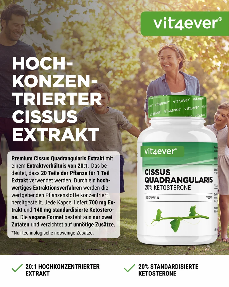 Cissus Quadrangularis
