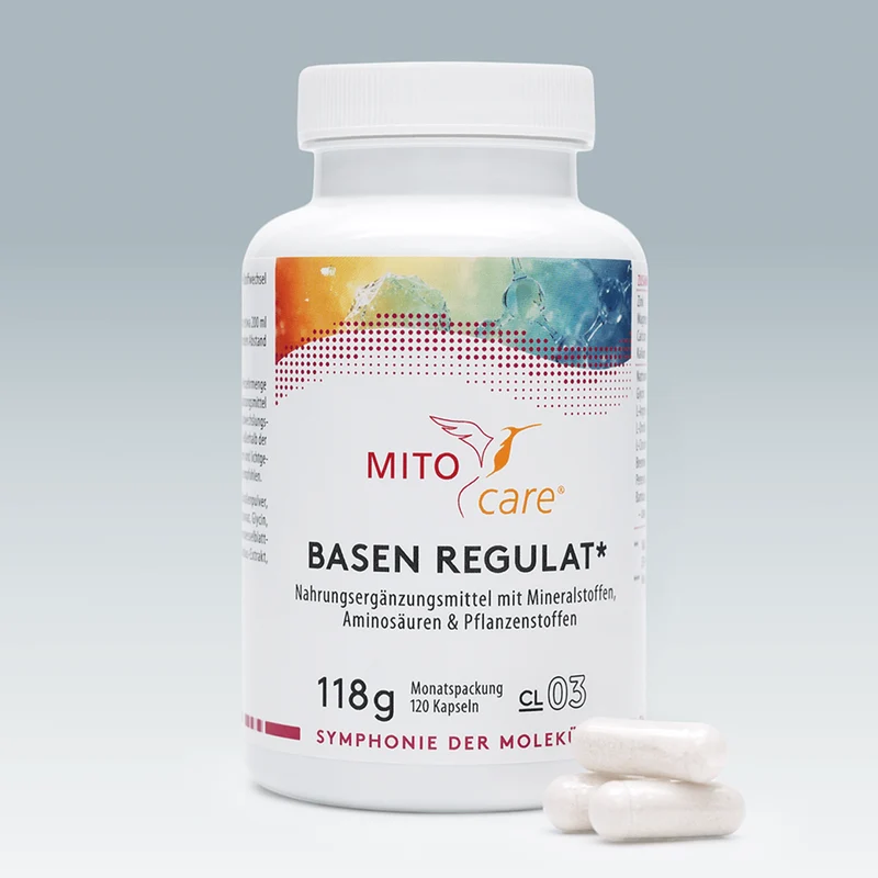 Basen Regulat*
