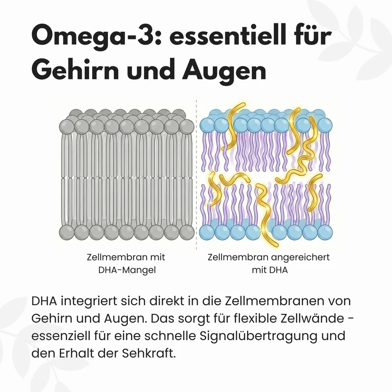 Omega 3 Kapseln aus Algenöl - Vegan