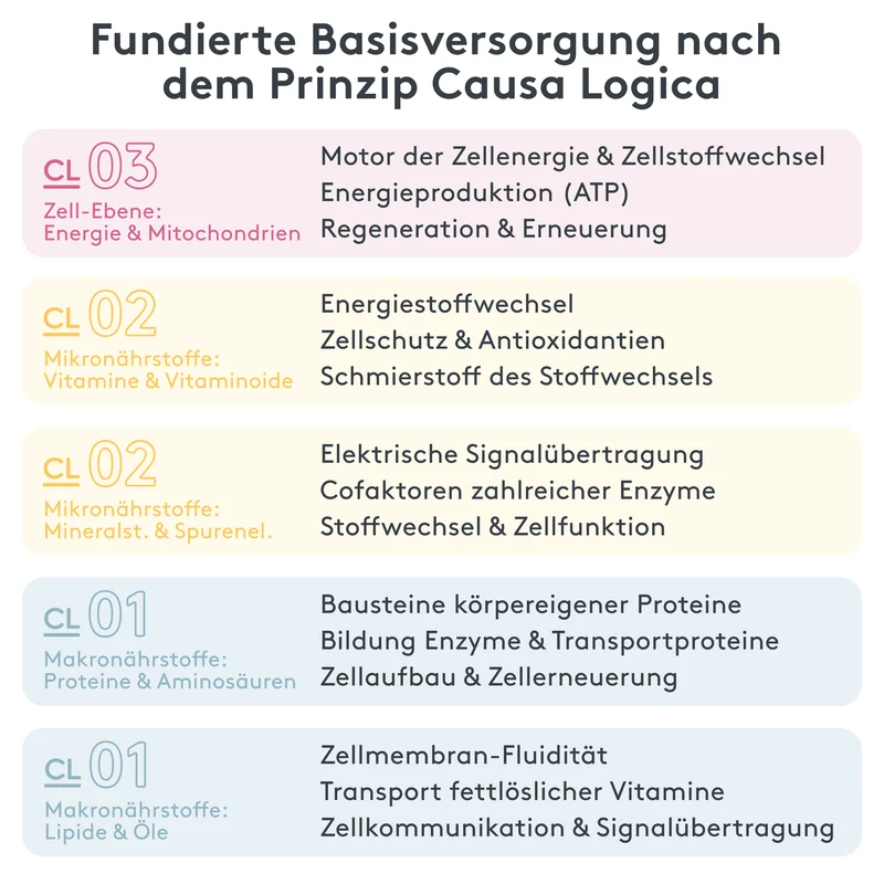 Basisversorgung Paket