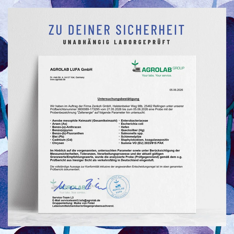 Zellenergie: NR-Komplex mit Trans-Resveratrol und Coenzym Q10