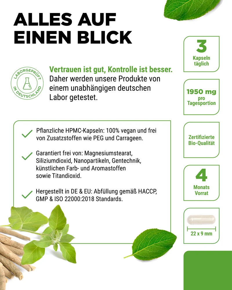 Bio Ashwagandha - 365 Kapseln