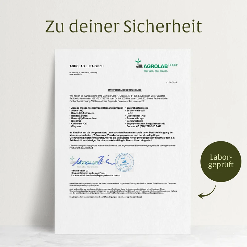 Blütenrein: Leber-Komplex mit Mariendistel