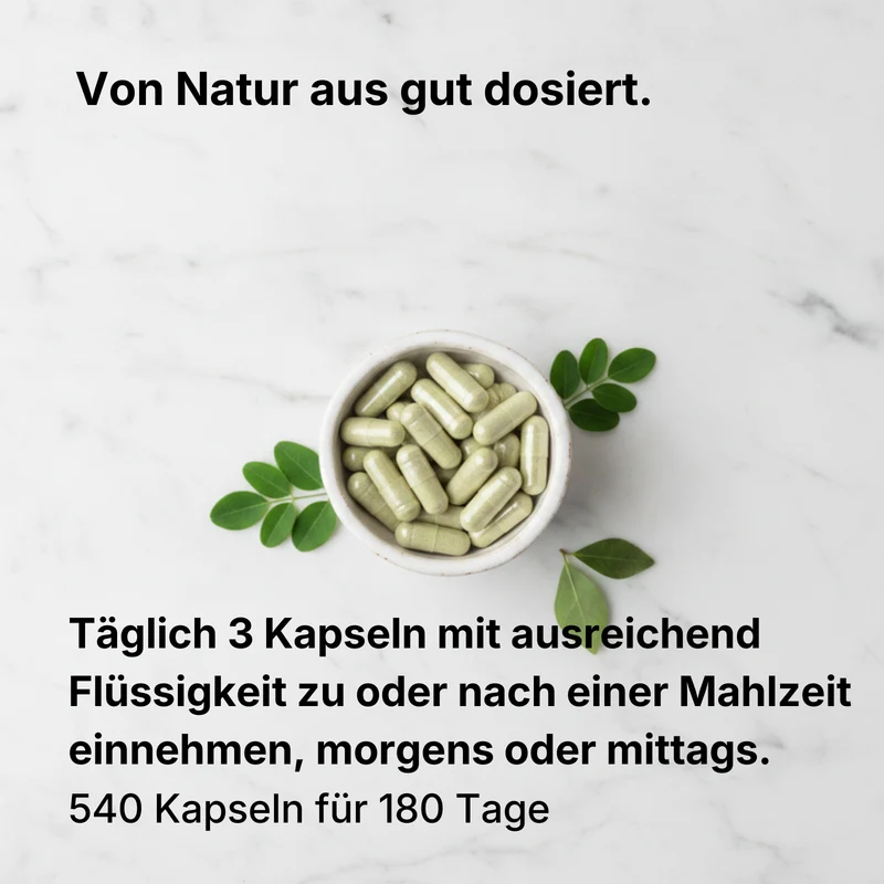 Bio Moringa Oleifera Kapseln 180