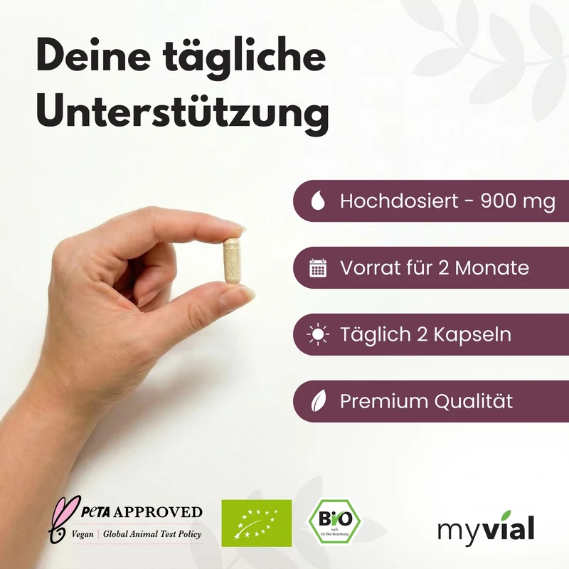 Bio Mariendistel Leber Komplex Kapseln