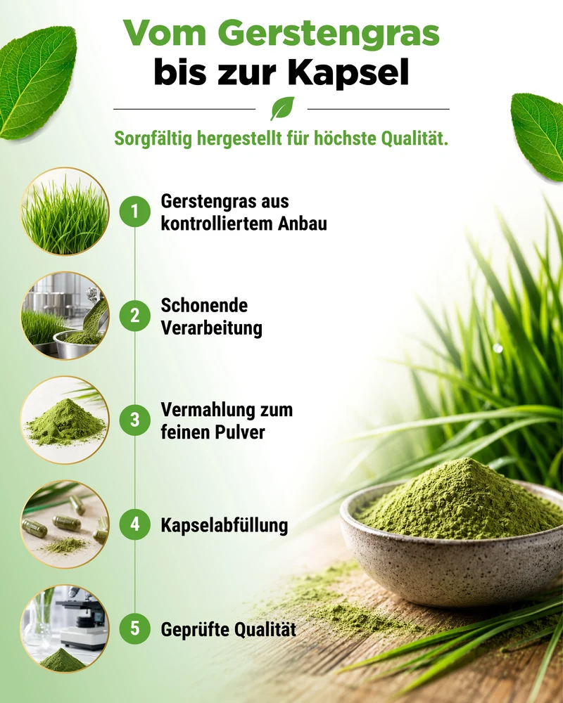 Bio Gerstengras - 365 vegane Kapseln