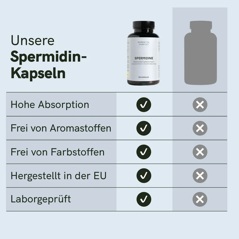 Spermidin Kapseln