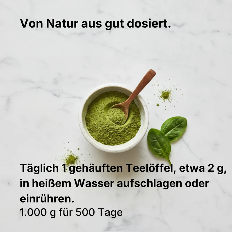 Bio Matcha Pulver