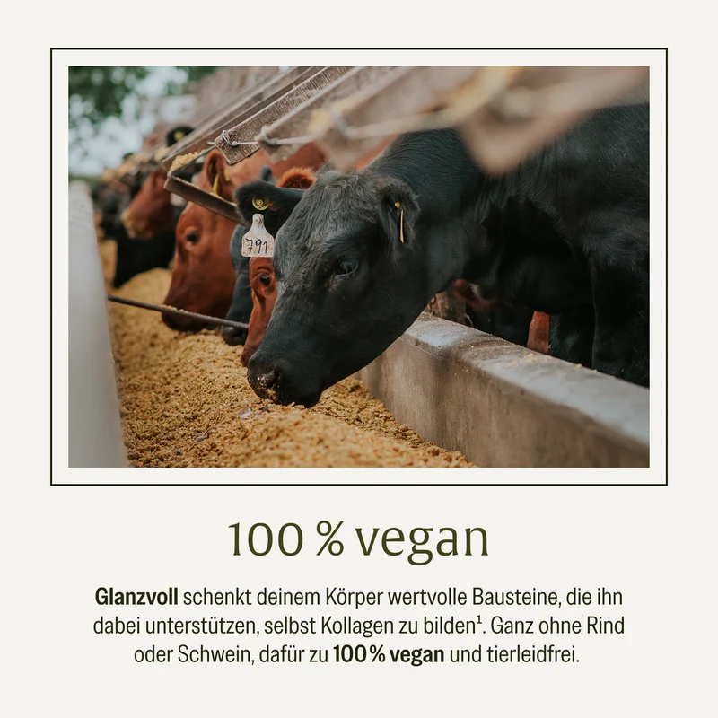 Glanzvoll: Vegane Kollagen-Bildungsunterstützung* mit Vitamin C, Hyaluron, Q10 & D-Biotin