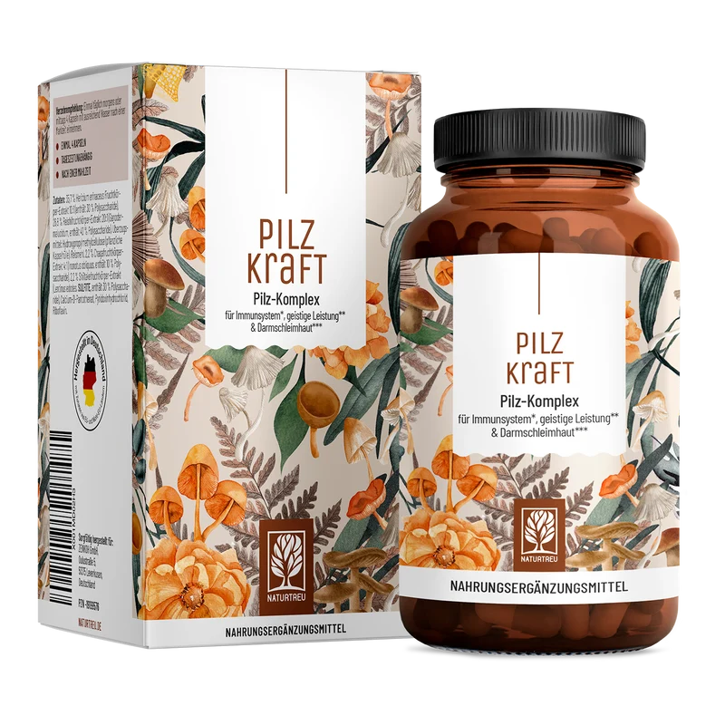 Pilzkraft: Reishi, Shiitake, Chaga & Löwenmähne