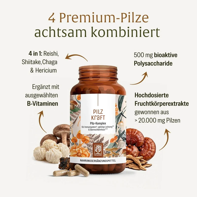 Pilzkraft: Reishi, Shiitake, Chaga & Löwenmähne