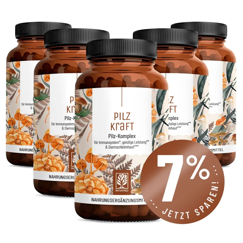 Pilzkraft: Reishi, Shiitake, Chaga & Löwenmähne