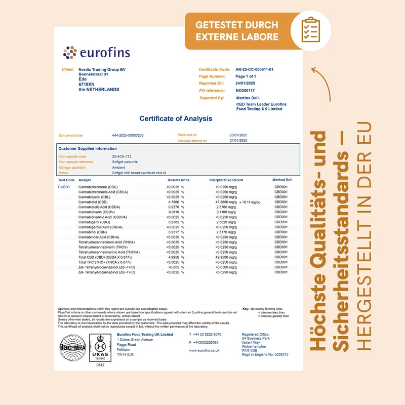 CBD Kapseln (960mg) mit Curcumin