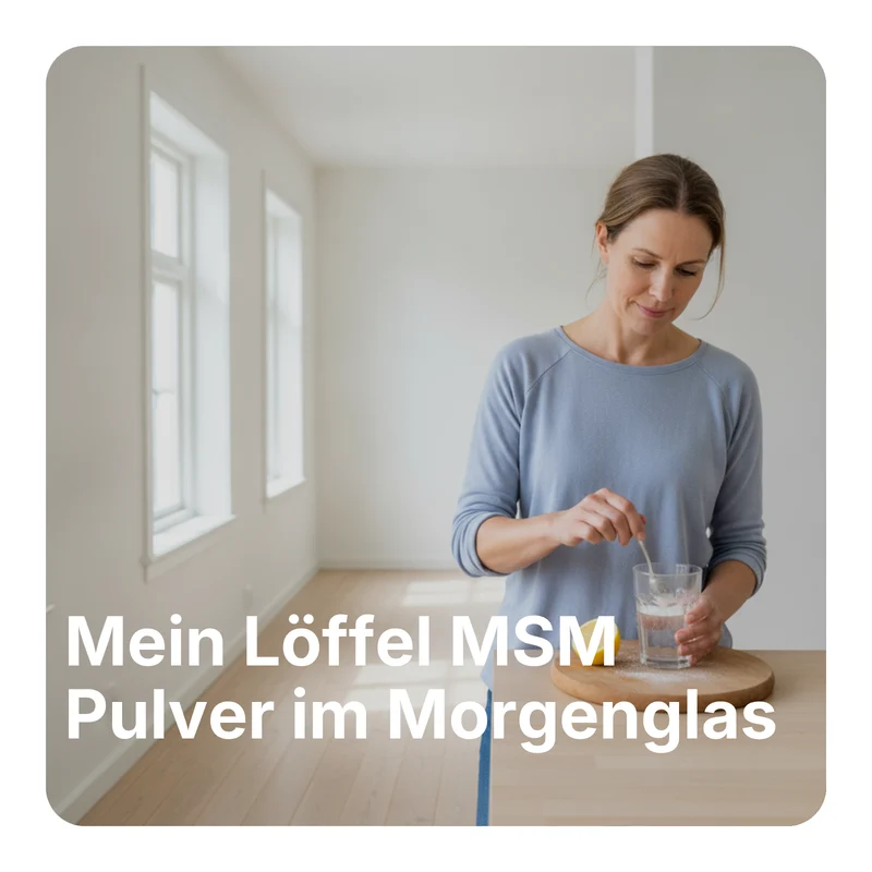 MSM-Pulver