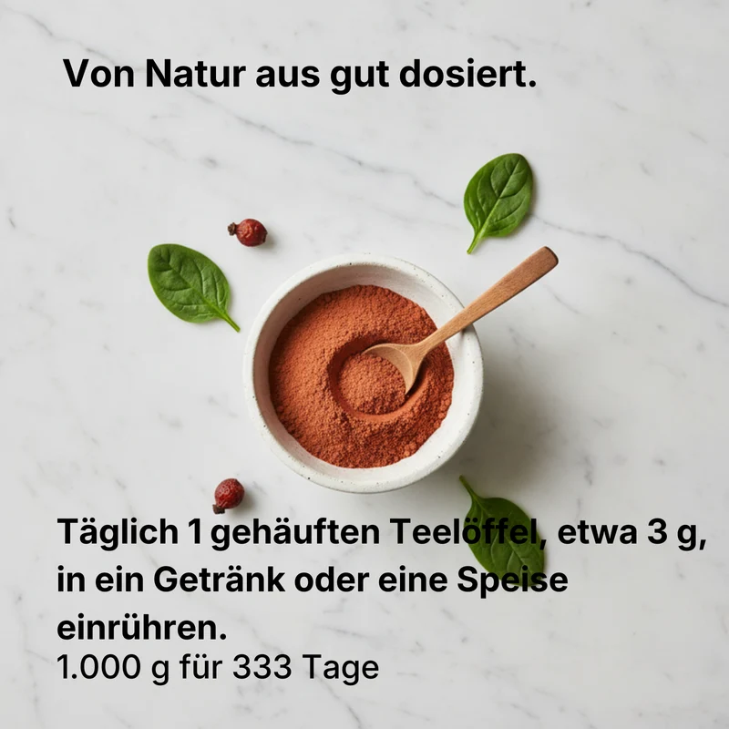 Bio Hagebutten Pulver