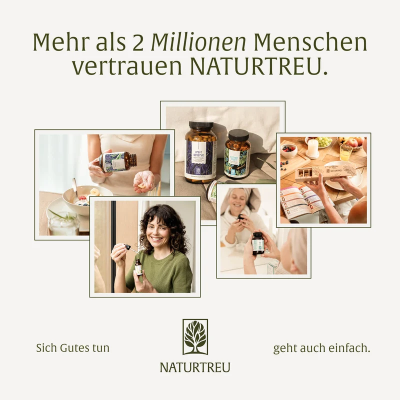 Vulkanstark: MSM-Komplex mit Vitamin C