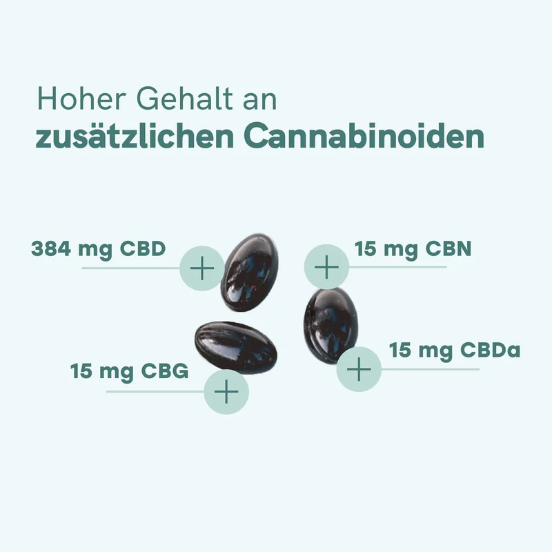 CBD Kapseln (384mg)