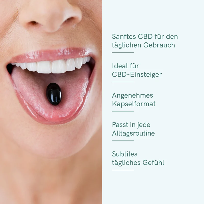 CBD Kapseln (384mg)