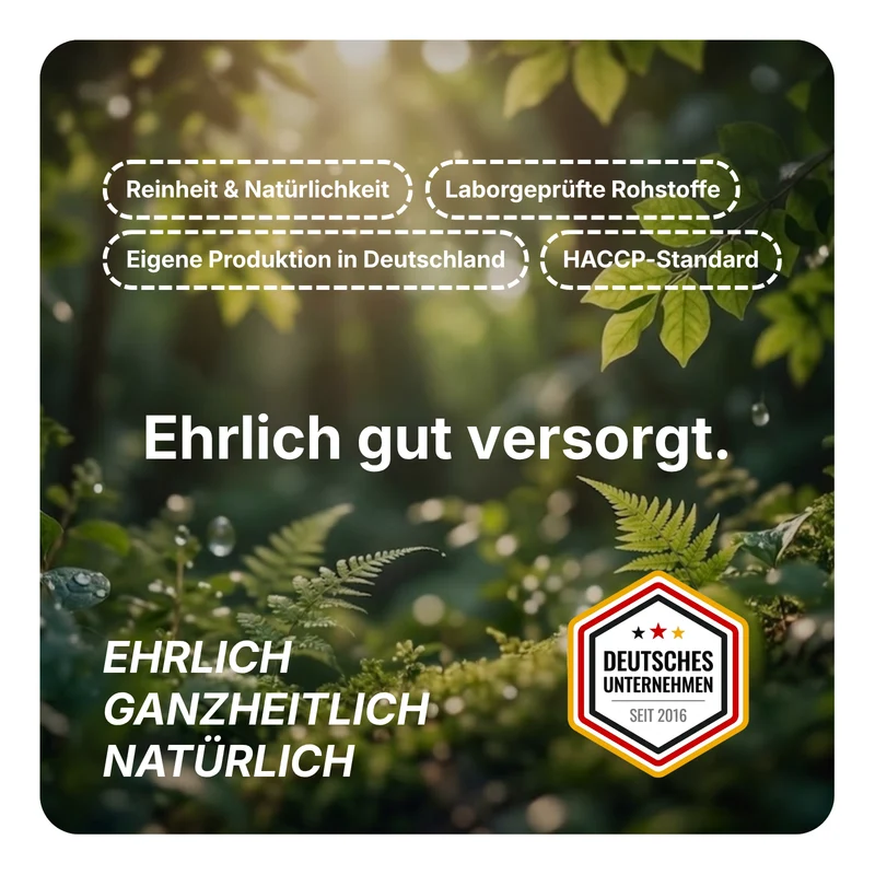 Bio Matcha Kapseln