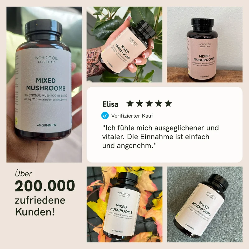 Vitalpilz-Gummies 🌟