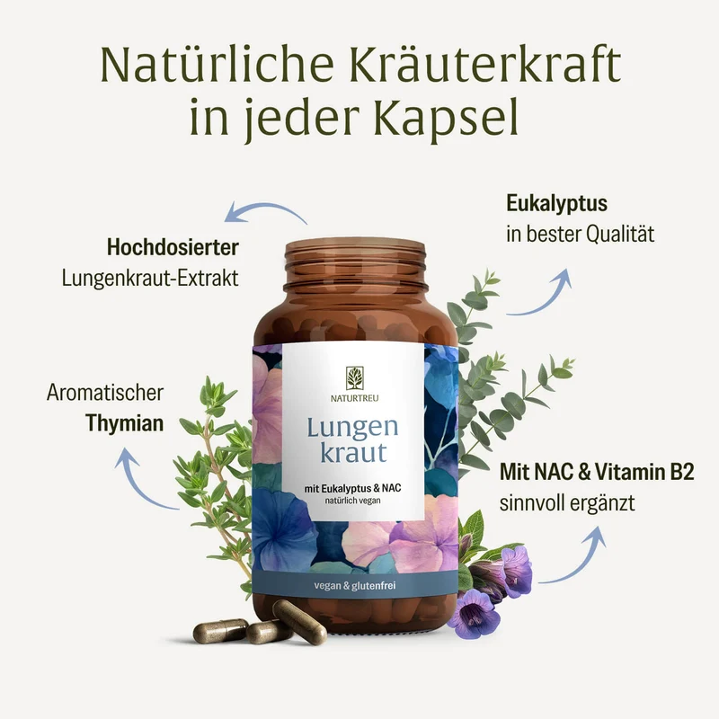 Lungenkraut: Mit Eukalyptus, Thymian & NAC