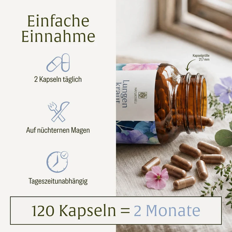 Lungenkraut: Mit Eukalyptus, Thymian & NAC