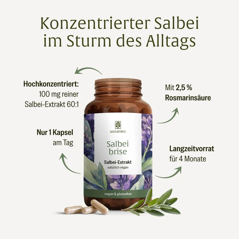 Salbeibrise: Hochdosierte Salbei Kapseln